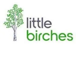 Little Birches