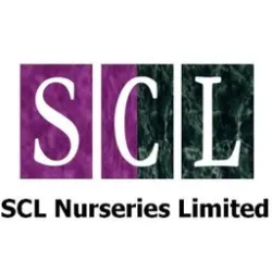 Marlborough Day Nursery